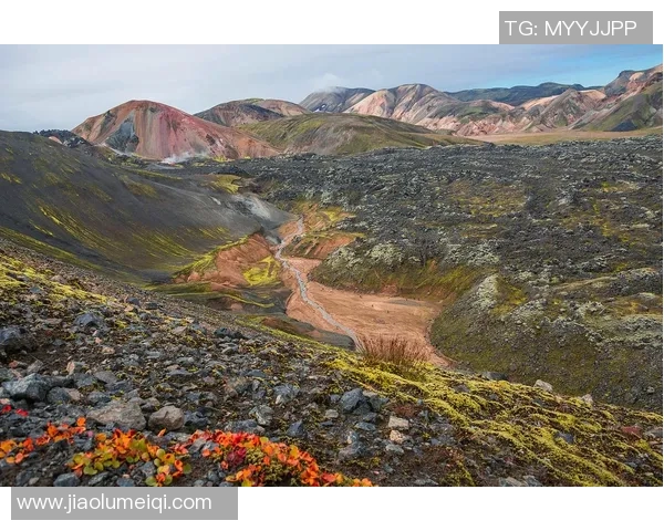雷法山口与岗山的对决探秘山脉之美与自然奇观的碰撞